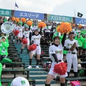 Đội cổ vũ thay đổi trang phục để chống lại nạn quay lén ở Nhật