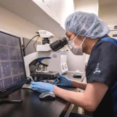 Dự luật hiến tặng tinh trùng gây tranh cãi tại Nhật Bản