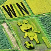 Ếch khổng lồ chơi bóng trên cánh đồng Nhật Bản cổ vũ World Cup 2022