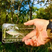 Nghệ thuật câu cá Tanago: cá càng nhỏ càng chứng tỏ có tài