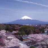 Shizuoka - Không chỉ có núi Phú Sĩ