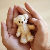 Câu chuyện ấm áp phía sau chú gấu bông kích cỡ trẻ sơ sinh