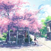 Học tiếng Nhật qua những từ vựng về mùa xuân