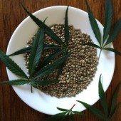 Xốt sa-lát mới lạ từ dầu hạt gai