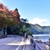 Akita - Giấc mơ miền cổ tích