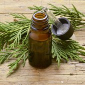 Tinh dầu Hinoki - mang hương rừng xanh vào cuộc sống