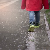 Hochigo: những đứa trẻ bị bỏ rơi trong xã hội Nhật Bản