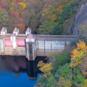 Phải lòng “nàng thu” ở Ibaraki