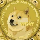 Những chú chó "huyền thoại" của nước Nhật