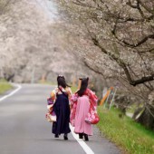 Biến đổi khí hậu đe dọa văn hóa Nhật Bản