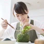 Cách làm quả cầu rêu Kokedama cho ngôi nhà thêm xanh mát