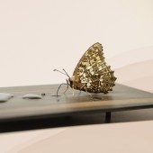 Tác phẩm điêu khắc giọt nước gây sốt của nghệ nhân Nhật Bản