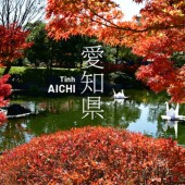 Top 5 địa điểm ngắm lá đỏ tuyệt đẹp ở tỉnh Aichi