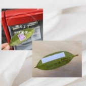 Những tấm bưu thiếp bằng lá cây của người Nhật