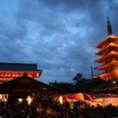 Đến Asakusa dự lễ hội Sanja