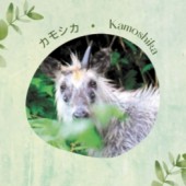 Đằng sau bí ẩn về loài linh dương “4 mắt” tại tỉnh Miyagi