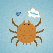 Loài ve mới phát hiện tại Nhật được đặt tên là "Twitter"