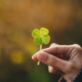 Chúc may mắn bằng tiếng Nhật sao cho “ngầu”?