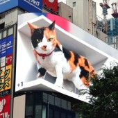 Mèo 3D khổng lồ tương tác với người qua đường ở ga Shinjuku