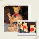 Sự tích về lòng trung thành của chú mèo Samurai ở chùa Unrin