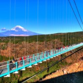 Ngắm núi Phú Sĩ từ cầu treo dài nhất Nhật Bản – Mishima Skywalk