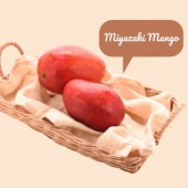 Miyazaki Mango: "Trứng" của mặt trời đắt đỏ nhất thế giới