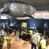 Bảo tàng ở Iwate mở cửa trở lại sau 11 năm thảm họa