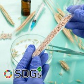 Ngân hàng hạt giống Nhật Bản lưu giữ hơn 230.000 nguồn gene cây trồng