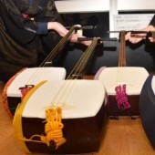 Bảo tồn đàn Shamisen truyền thống hay bảo vệ động vật?