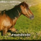 Ngựa: loài vật linh thiêng trong tôn giáo Thần đạo 