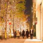 Những cụm từ tiếng Nhật độc đáo về mùa Giáng sinh