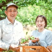 Khi người trẻ Nhật tìm kiếm cơ hội tại nông thôn