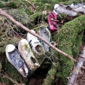 Robert Gilhooly: Người kể chuyện "Khu rừng tự sát" bằng ảnh