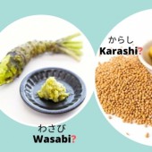 Phân biệt Wasabi, Karashi và mù tạt