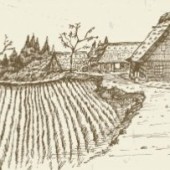 Những bài thơ Haiku tự do