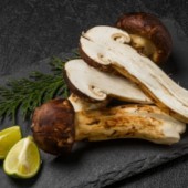 Vua nấm Nhật Matsutake - 40 triệu/ kilogram nhưng vẫn hot