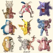 Pokénatomy - Độc đáo với việc giải phẫu Pokémon