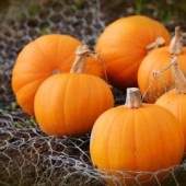 Ăn bí đỏ để bảo vệ da trước ánh nắng