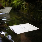 Mizuura Mikuji: Quẻ bói nước độc đáo của Nhật Bản