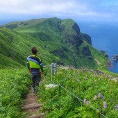 Đảo Rebun – thiên đường hiking của miền Bắc Nhật Bản