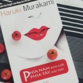 Review Phía nam biên giới, phía tây mặt trời