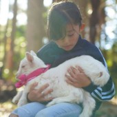 Miễn phí vé vào trang trại với điều kiện ru dê con ngủ