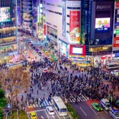 Những địa điểm lý tưởng để ngắm ngã tư Shibuya