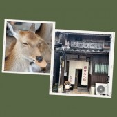 Khám phá cửa hàng bánh gạo dành cho loài nai ở tỉnh Nara