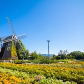 Lạc lối ở Huis Ten Bosch