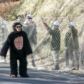 Nguồn gốc của những buổi diễn tập bắt động vật hoang dã tại sở thú Nhật