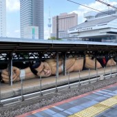 Bức tượng Sumo khổng lồ xuất hiện tại nhà ga Ryogoku