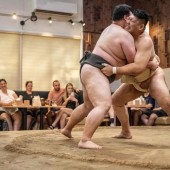 Sumo chứng tỏ sức hút lớn đối với khách du lịch