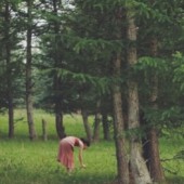 Bí kíp để có buổi tắm rừng hiệu quả