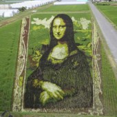 Nàng Mona Lisa xuất hiện trên cánh đồng Nhật Bản